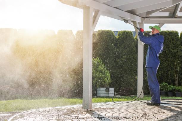 Solar Panel Cleaning in Hayti, MO